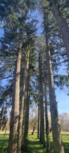 Le Jardin · Pour activités bucoliques